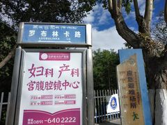 -罗布林卡