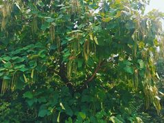 -六鼎山文化旅游区