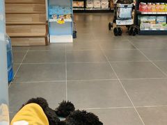 -萌兽医馆·眼科·异宠专科(三里屯店)