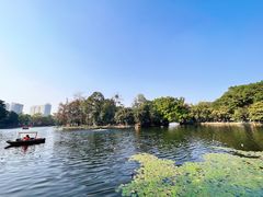 -荔湾湖公园