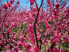 -南开大学(津南校区)