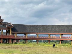 -西双版纳傣族园