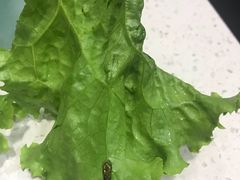 -韩时烤肉(丰科万达广场店)