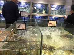 水产区-上座·餐厅(阳光100店)
