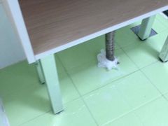 -7天酒店·贵阳小十字店