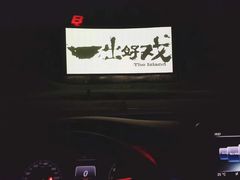 -枫花园汽车电影院(朝阳公园店)