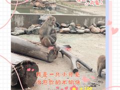 -天津市动物园