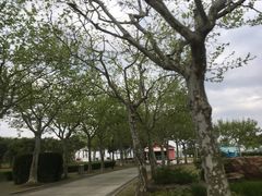 -东方绿舟景区