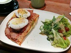 -The Daily Fix Cafe