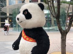 -MUJI无印良品(顺城店)