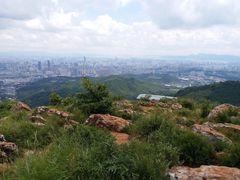 -长虫山生态公园风景林