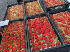 -西郊国际农产品交易中心