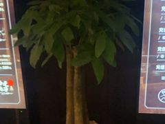 -泰之源足浴会所(玉环店)
