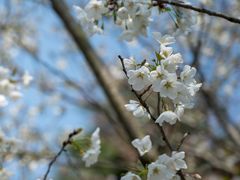 -白塘生态植物园