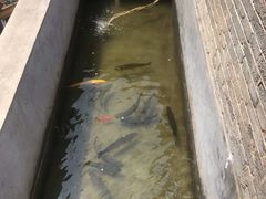 -何适山庄 ·可团建(水长城P2停车场店)