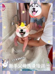 -禧月荟·爱丽馨月子中心(山庄店)