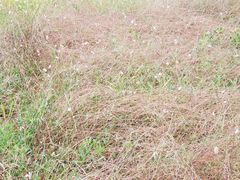 -汉长安城未央宫国家考古遗址公园