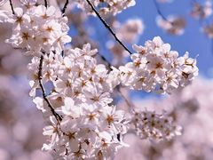 -龙美术馆(西岸馆)