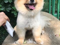-光明港公园
