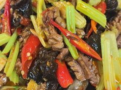 -龙翔山庄雷鸡肉(青城后山泰安古镇店)