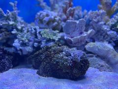 -多彩贵州城极地海洋世界