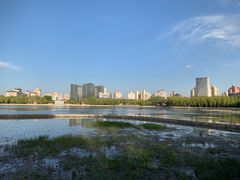 -莲花池公园