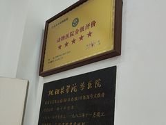 -派美特宠物医院·核磁CT·骨科肿瘤·疑难转诊(沈农禾丰店)