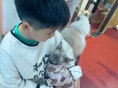 -和它·交个朋友·狗咖猫咖(爱琴海店)