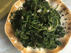 -牛背梁国家森林公园