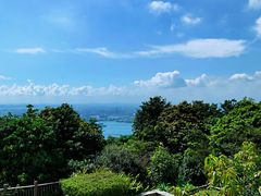 -东莞市大岭山森林公园