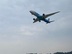 -空港花田景区