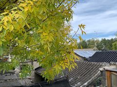 -元古本店(南锣鼓巷店)