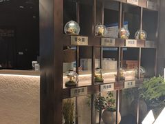 -芸山季·云南山珍菌火锅(人民广场来福士店)