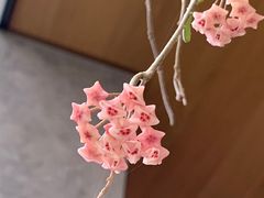 -山下C5cafe(惠通时代广场店)