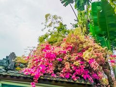 -深圳国际园林花卉博览园