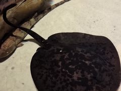 -哈尔滨波塞冬海底世界