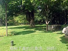 -南宁南湖公园