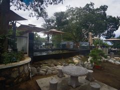 -蘇河湾·新鲁菜·泰山宴(泰山店)