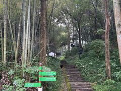 -龙井村