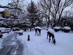 -龙湖星悦荟(颐和店)
