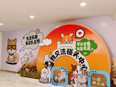 -凯德MALL(望京店)