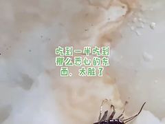 -波密野生菌王酒家