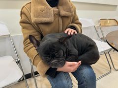 -共舞时光猫咖·狗咖(新街口店)