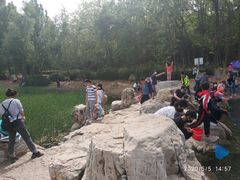 -云岗森林公园