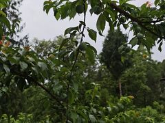 -仙海旅游度假区