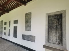 -柳侯公园