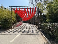 -渭南桃花源民俗文化园