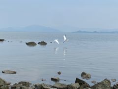 -深圳湾公园(南山区)