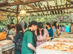 -Bamboo Saturday Market(Nana Jungle)