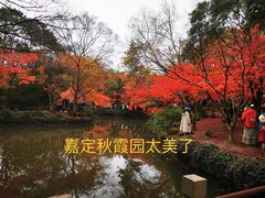 -秋霞圃